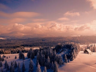 DJI_0001.00_01_34_33.Still003